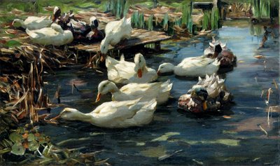 Ducks in a Pool by Alexander Koester
